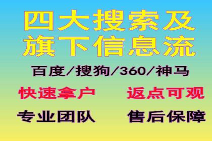 SEM代运营成功案例：打造行业领先品牌